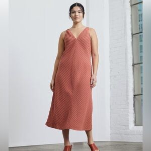 NWT Everlane City Stripe Midi Dress